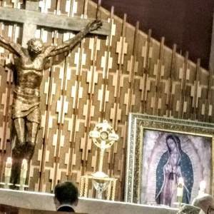 Meet your Posher, Eliss